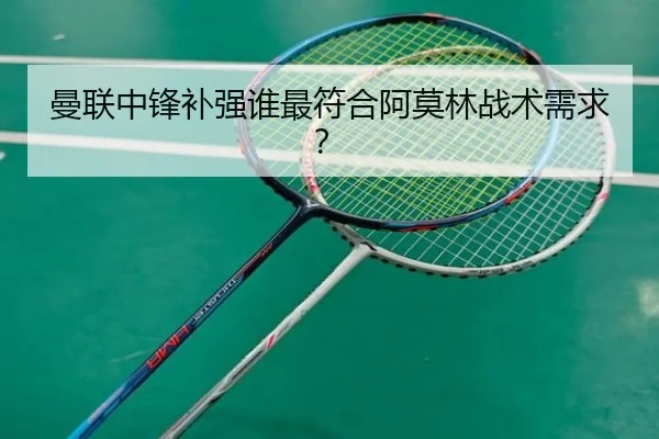 曼联中锋补强谁最符合阿莫林战术需求？
